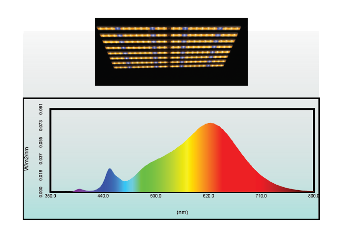 Esttech EST5h - Wake up violet spectrum 20W LED Lights chart